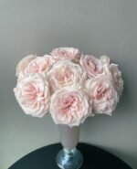 PRINCE JARDINIER - Image 3