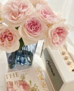 PRINCE JARDINIER - Image 4