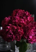 VELVETY TWILIGHT - Image 4