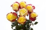 HOT MERENGUE - Image 4