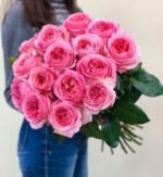 PINK X-PRESSION - Image 5
