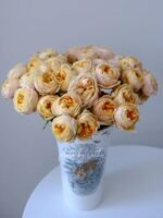 SWEET CATALINA - Image 5