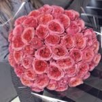 PINK X-PRESSION - Image 6