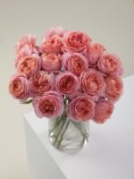 ROMANTIC ANTIKE - Image 5