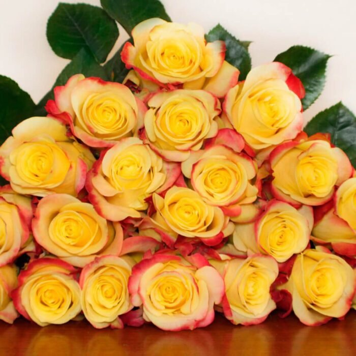 HOT MERENGUE - Image 2