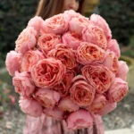 ROMANTIC ANTIKE - Image 7