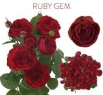 RUBY JAM - Image 2