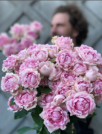 CANDY FLOW® - Image 2