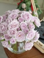 EVERLASTING LAVENDER - Image 2