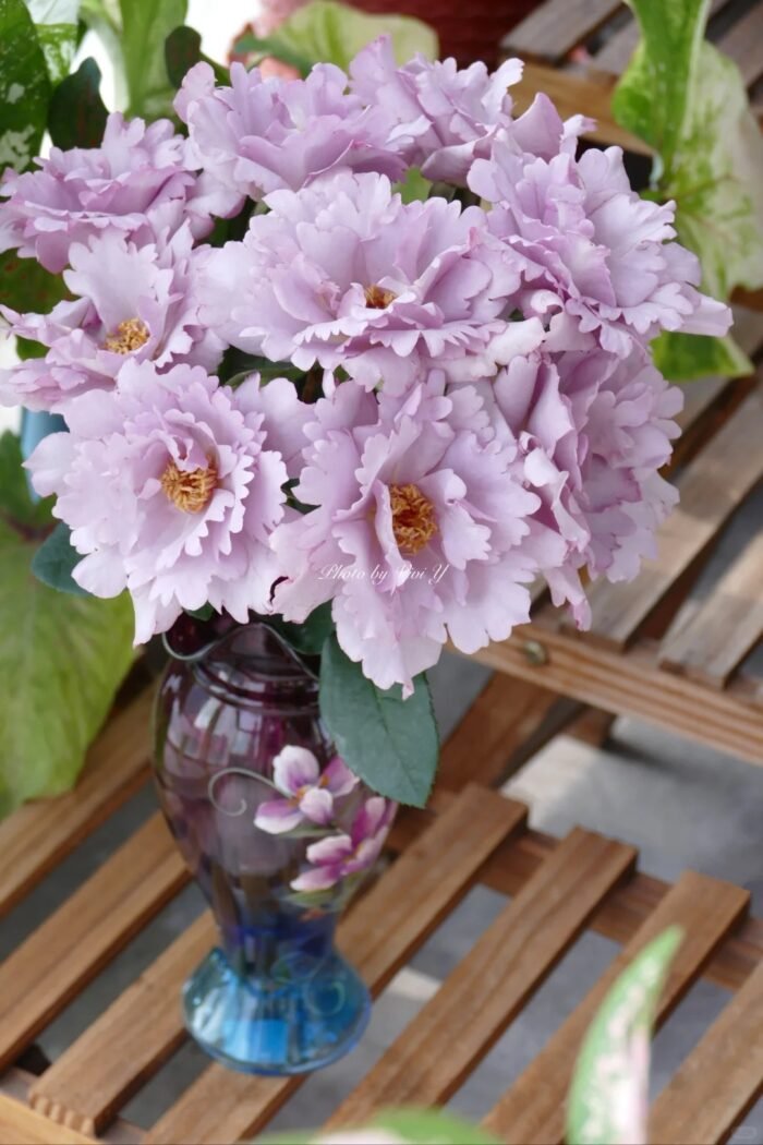 COUTURE ROSE TILIA - Image 3
