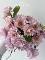 COUTURE ROSE TILIA