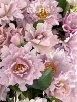 COUTURE ROSE TILIA - Image 5