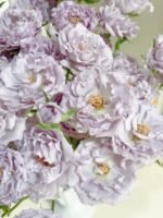 EVERLASTING LAVENDER