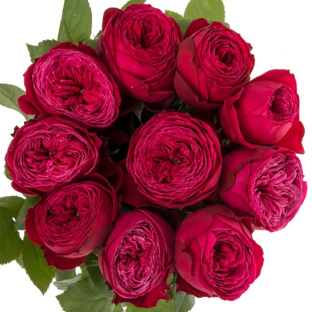 2023/06/1000037406.jpg JUST MORE - Image 1