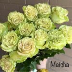 MATCHA