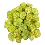MATCHA - Image 5