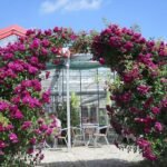 ROSENGARTEN ZWEIBRUCKEN