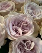 MYSTIC MOMENTS - Image 6