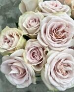 MYSTIC MOMENTS - Image 8