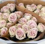 MYSTIC MOMENTS - Image 5