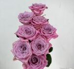 SWEET MENTA - Image 2