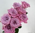 SWEET MENTA - Image 7