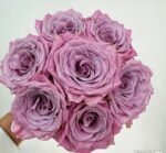 SWEET MENTA - Image 5