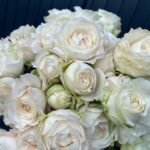 PRINCESS FAIRY KISS WHITE