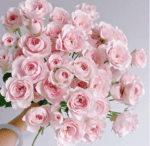 PRINCESS FAIRY KISS PINK