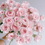 PRINCESS FAIRY KISS PINK