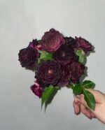 MIDNIGHT HUNTER - Image 4