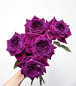 PURPLE VELVET - Image 5