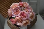 BRODERIE