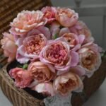 BRODERIE (SMALL PLANTS)