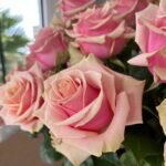 PINK AMARETTO - Image 3