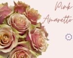PINK AMARETTO