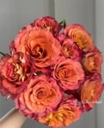 GYPSY CURIOSA - Image 4