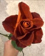 CAFÉ DEL MAR - Image 5