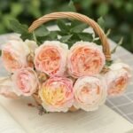 REJUVENATTION (RATTAN) - Image 4
