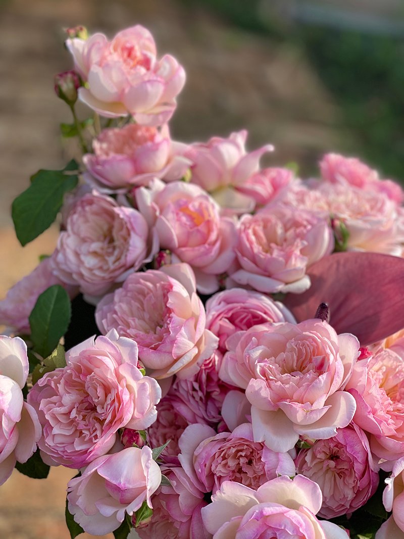 O1CN01i0cIz92EQyQiyzXES_!!10988740 FAITH(MILI) - Image 1