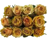 CARAMEL MACCHIATO - Image 4