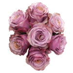 PURPLE MOON - Image 6