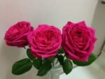 LOVE LABYRINTH - Image 3