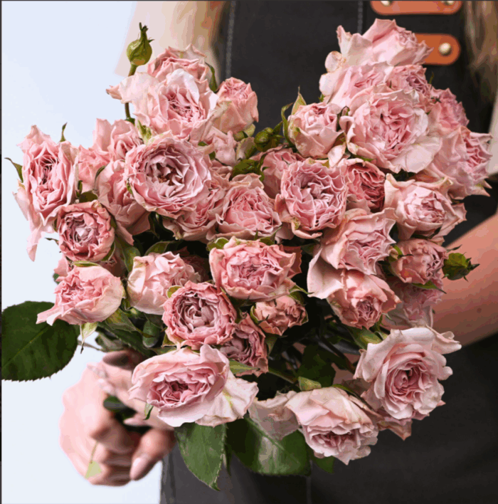 BE LOVING - Image 6