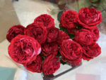 BERRIE - Image 4