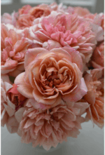 BRODERIE - Image 2