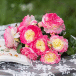 FIRST MAKEUP (DIANCHUAN)