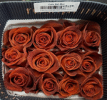 CAFÉ DEL MAR - Image 7