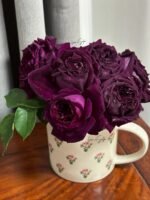 PURPLE VELVET - Image 5
