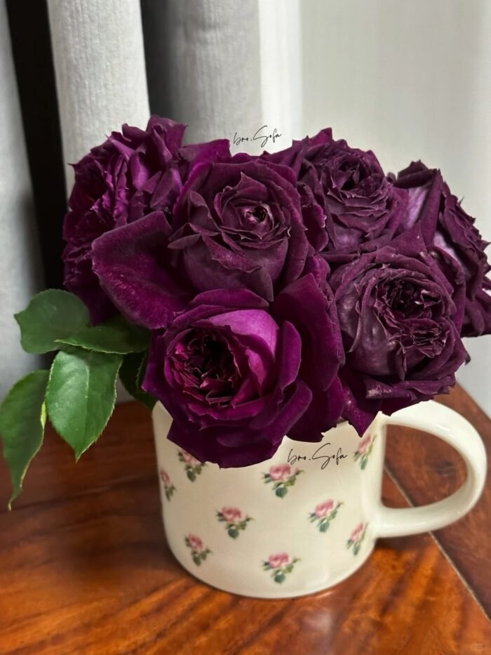PURPLE VELVET - Image 5